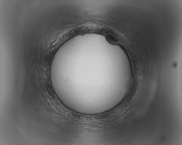 X0000116111397200912141009