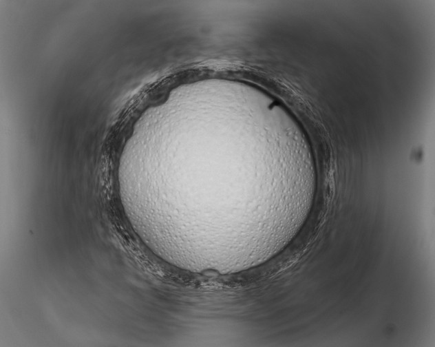 X0000116111398200912141009