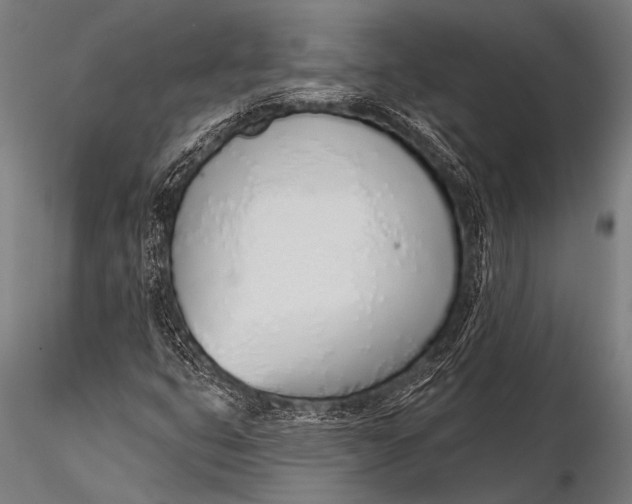 X0000116111399200912141009