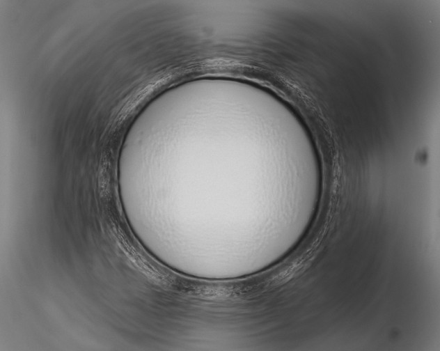 X0000116111401200912141009