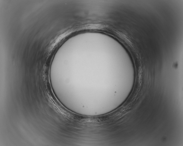 X0000116111404200912141009