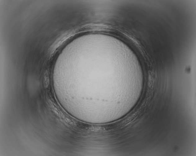 X0000116111407200912141010