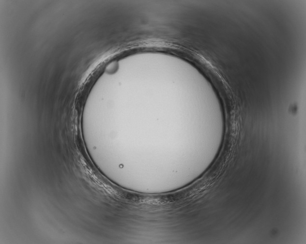 X0000116111408200912141010