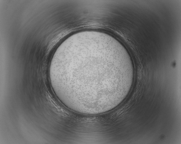 X0000116111410200912141010