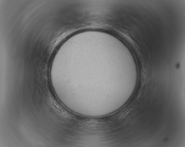 X0000116111412200912141010