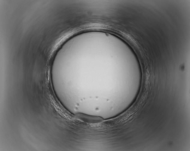 X0000116111413200912141010