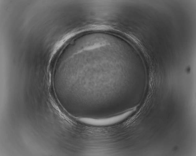 X0000116111414200912141010