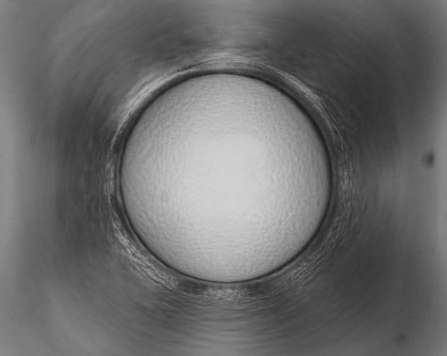 X0000116111415200912141010