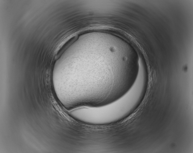 X0000116111417200912141010