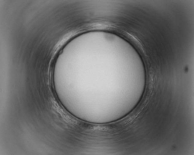 X0000116111419200912141010