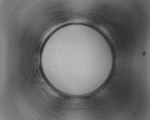 X0000116111420200912141010