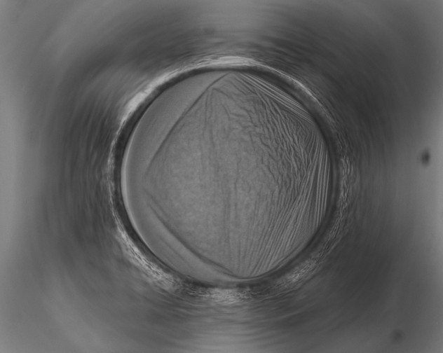 X0000116111422200912141010