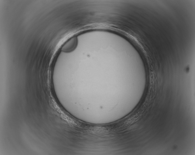 X0000116111424200912141010