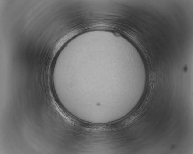 X0000116111426200912141010