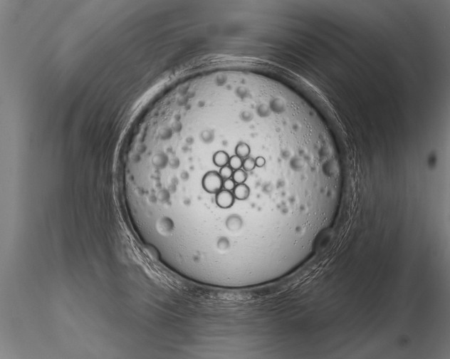 X0000116111427200912141010