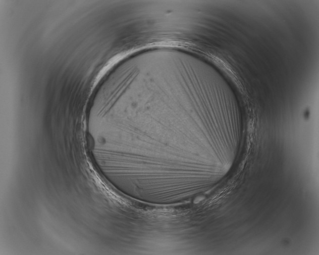 X0000116111428200912141010