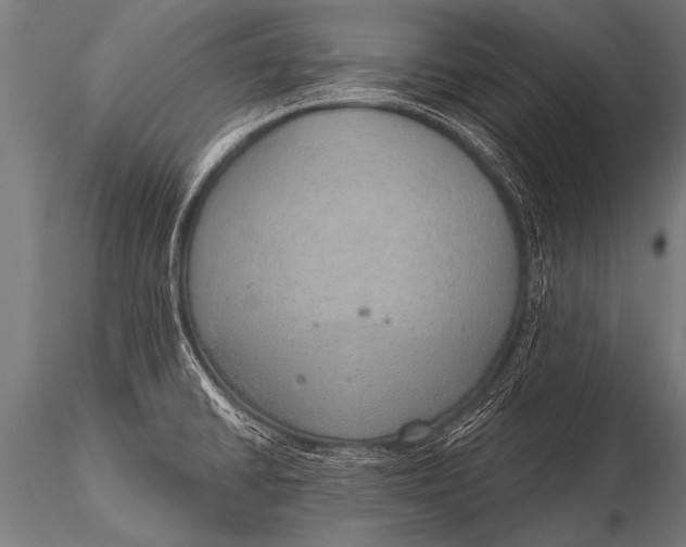 X0000116111430200912141010