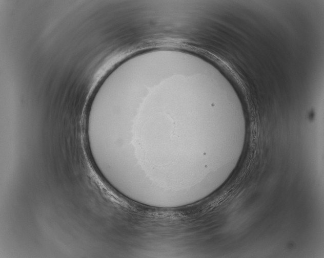 X0000116111432200912141010