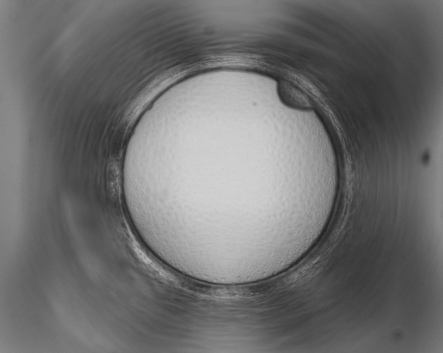 X0000116111433200912141010