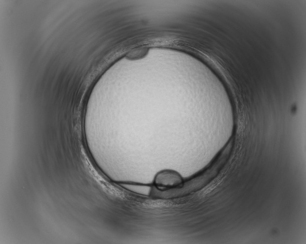 X0000116111434200912141010