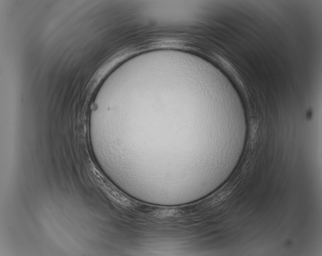 X0000116111435200912141010