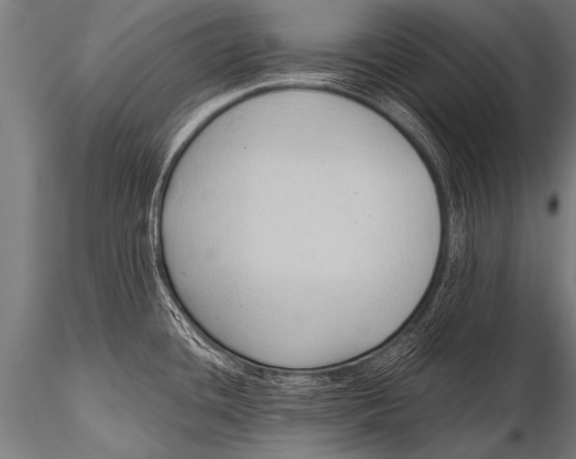 X0000116111436200912141010