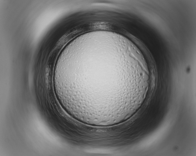 X0000116111438200912141010