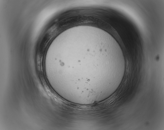 X0000116111439200912141010