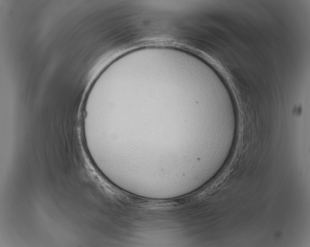 X0000116111440200912141010