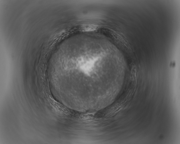 X0000116111441200912141009