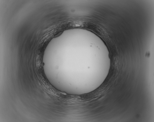 X0000116111442200912141009