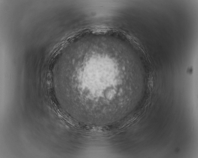 X0000116111445200912141009