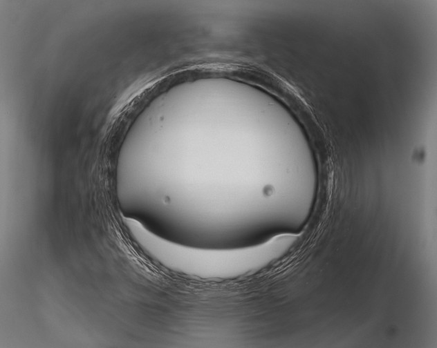 X0000116111448200912141009