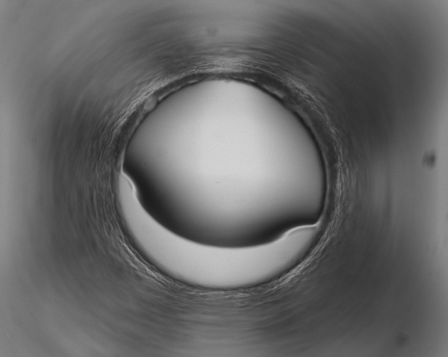 X0000116111449200912141009