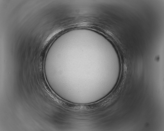 X0000116111450200912141009