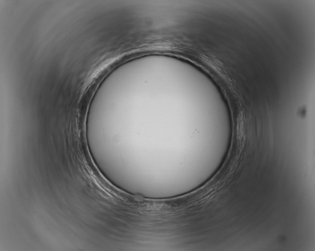 X0000116111452200912141009