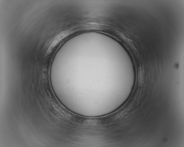 X0000116111453200912141009