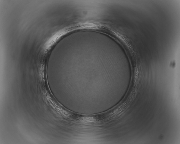 X0000116111455200912141009