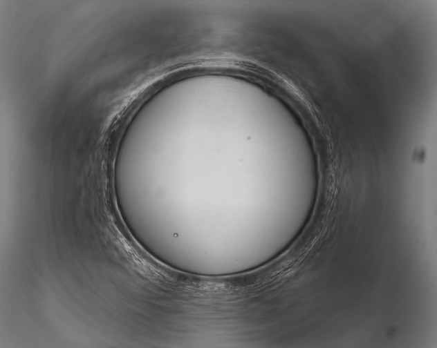 X0000116111456200912141009