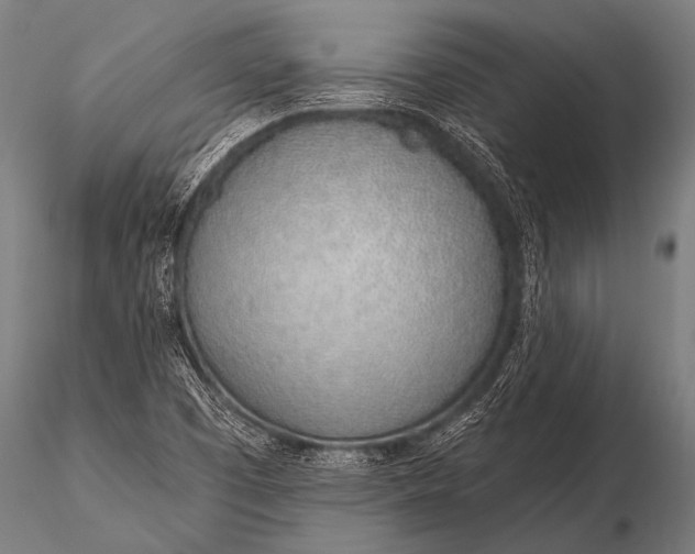 X0000116111457200912141009