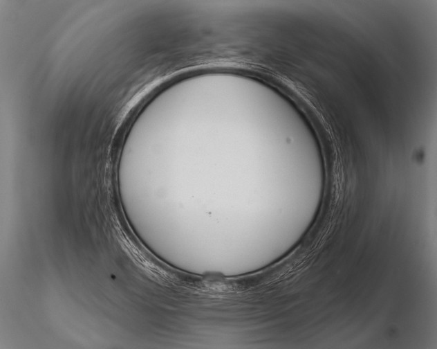 X0000116111460200912141009