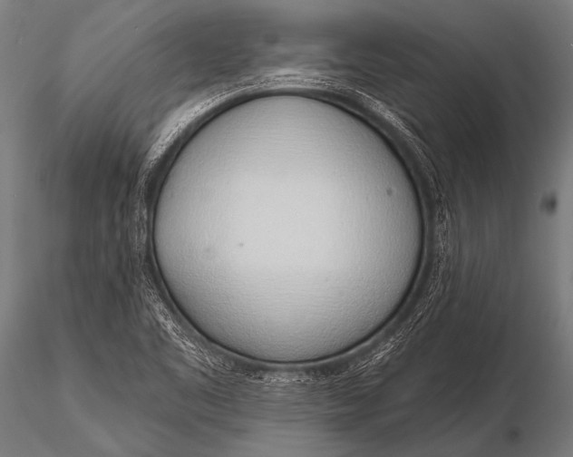 X0000116111461200912141009