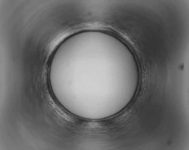 X0000116111463200912141009