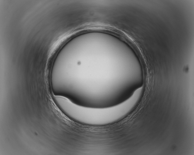 X0000116111464200912141009