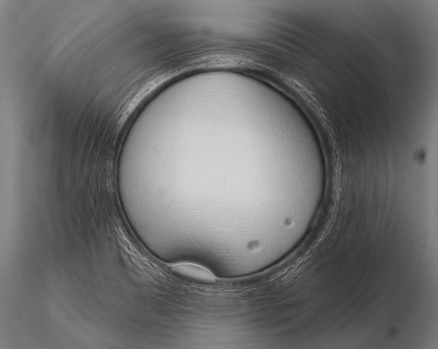 X0000116111465200912141009