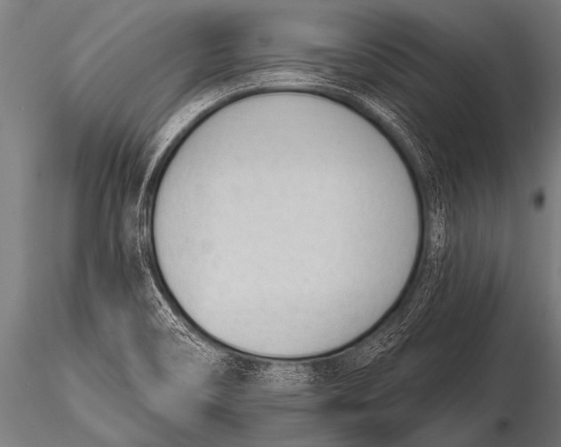 X0000116111466200912141009