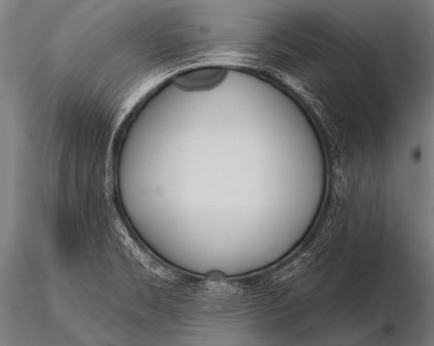 X0000116111469200912141009