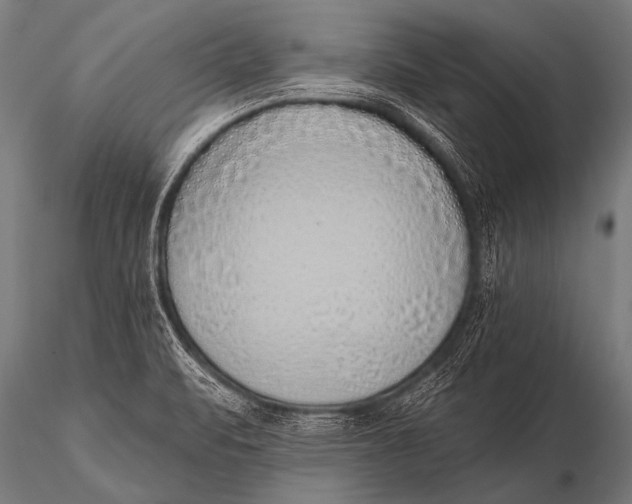 X0000116111471200912141009