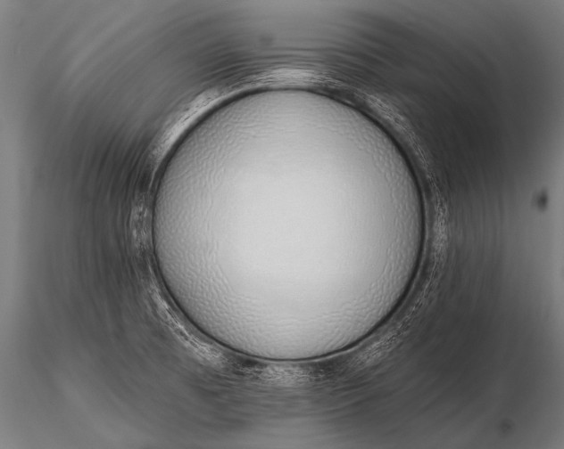 X0000116111473200912141009