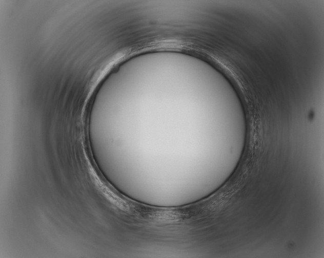 X0000116111475200912141009